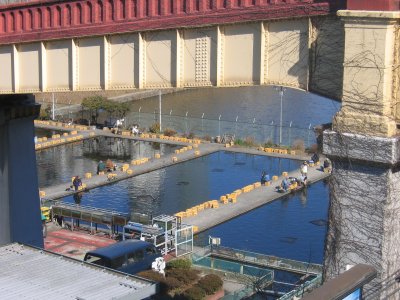 市ヶ谷橋　魚釣り場